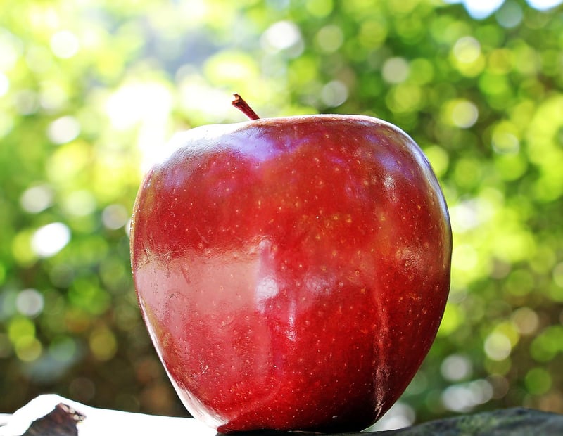 Fresh fruits and vegetables
